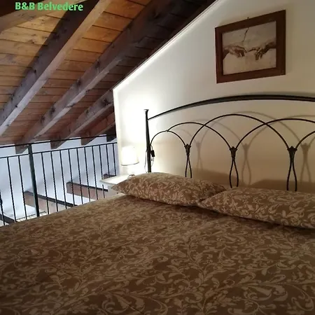 Belvedere 4*
