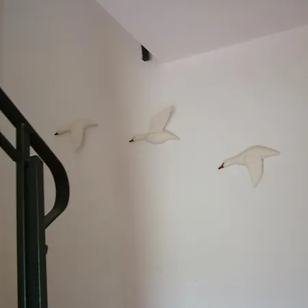 Nocleg ze śniadaniem Belvedere 4*